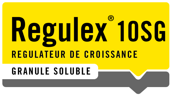 REGULEX 10SG