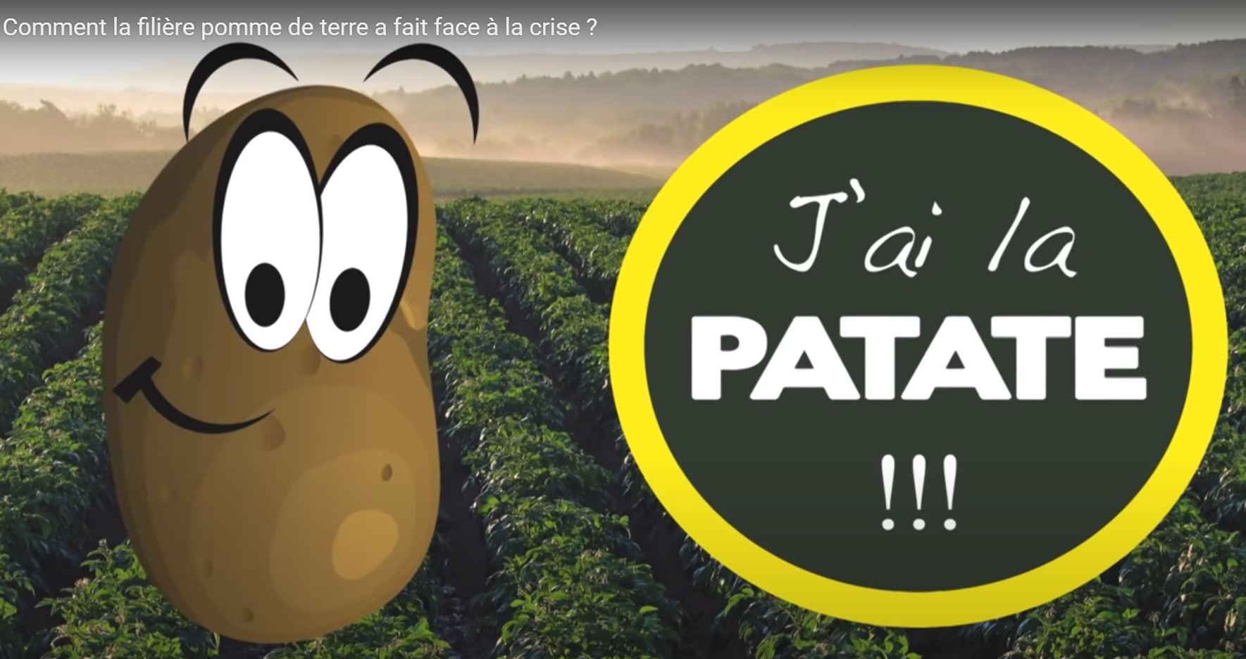 Notre websérie "J'ai la patate !" : Comment la filière pomme de terre a